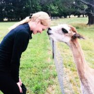 Nicole Kidman's pet Six Alpacas