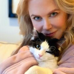 Nicole Kidman Pets