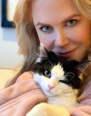 Nicole Kidman Pets