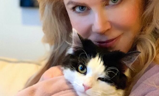 Nicole Kidman Pets