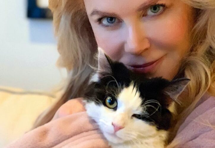 Nicole Kidman Pets