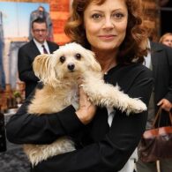 Susan Sarandon's pet Penny Lane
