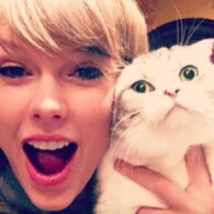 Taylor Swift's pet Meredith Grey