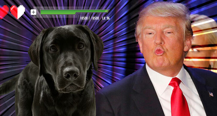 Donald Trump - First president without a dog in over 100 years, SAD!