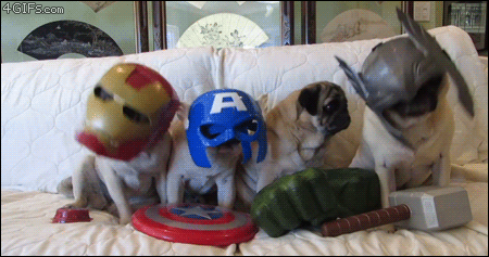 Doggie Avengers