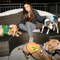 Ariana Grande - Pets