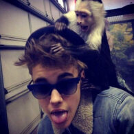 Justin Bieber's pet OG Mally