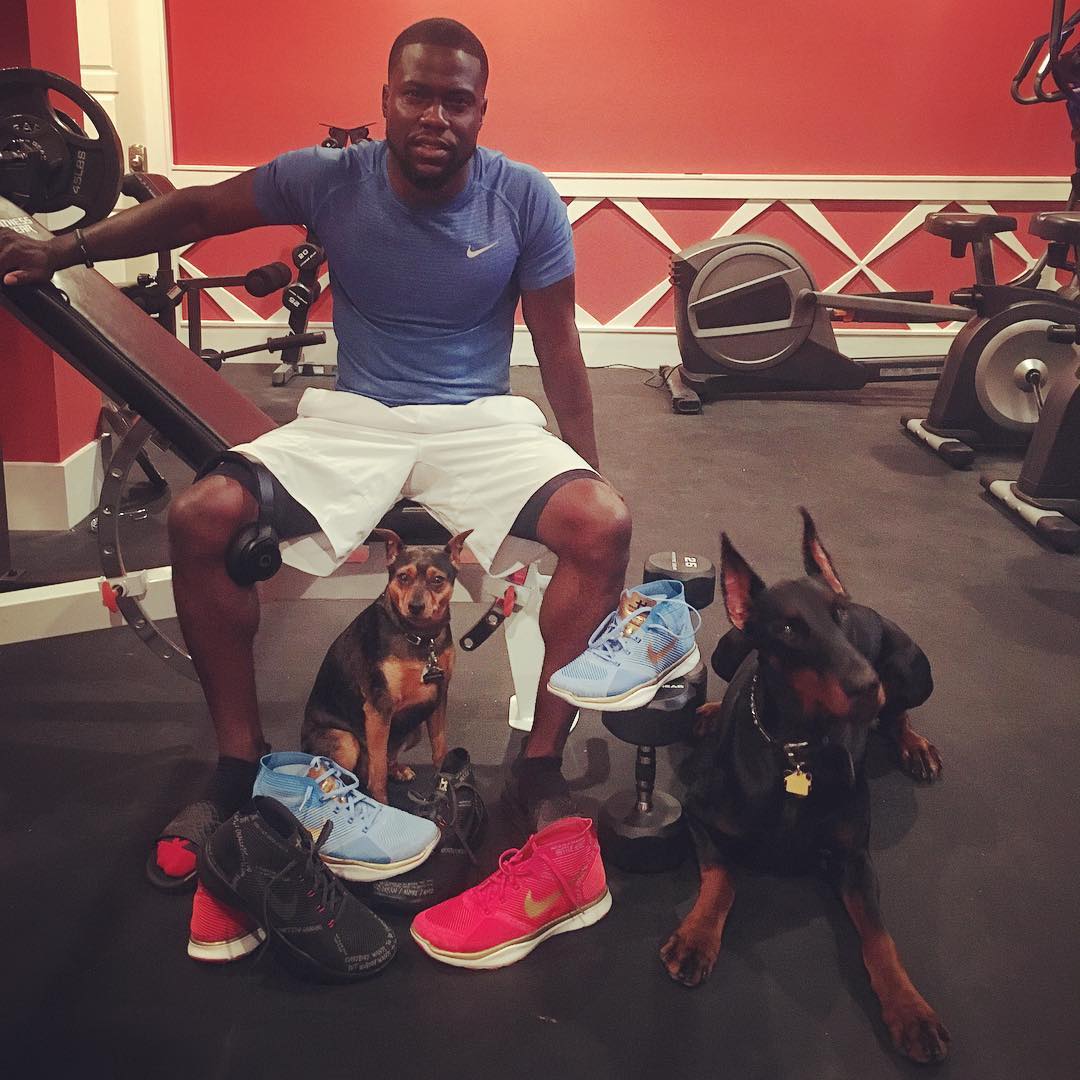 Kevin Hart Riggs and Roxy -dogs