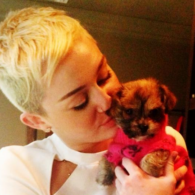 Miley Cyrus' pet Penny Lane