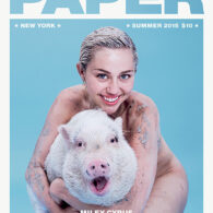 Miley Cyrus' pet Pig Pig