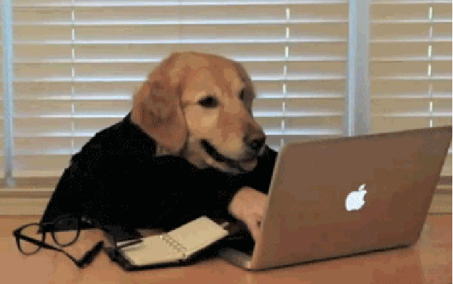 Dog Typing GIF