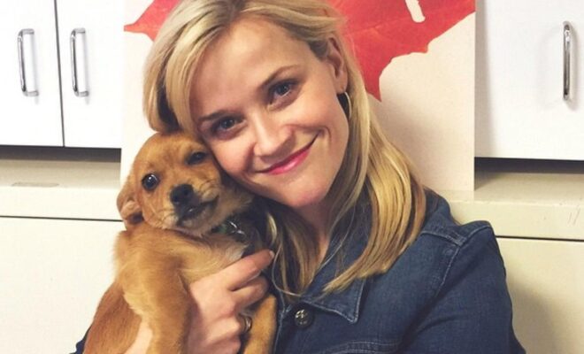 Reese Witherspoon Pets