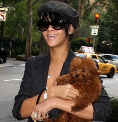 Rihanna -dog Oliver