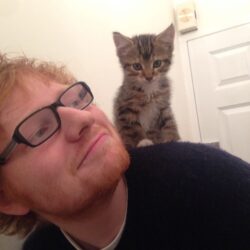 Ed Sheeran Pets