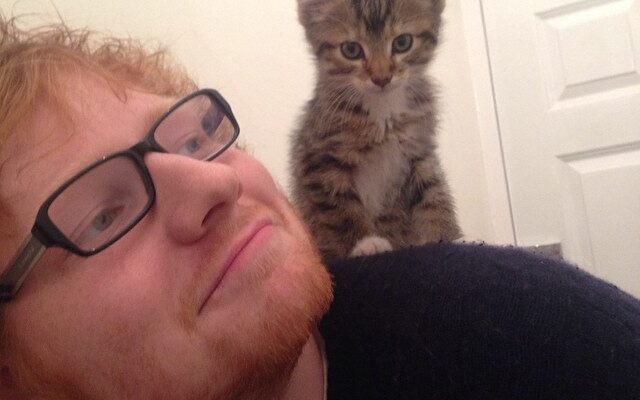 Ed Sheeran Pets