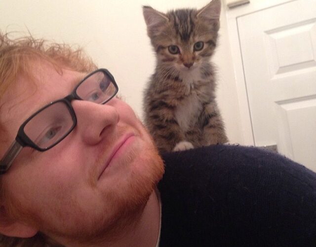 Ed Sheeran Pets