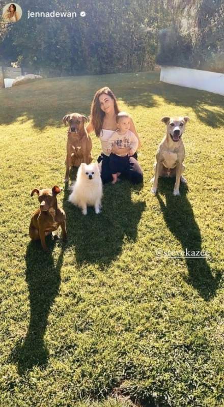 Jenna Dewan and Steve kazee Dogs