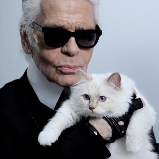 Karl Lagerfeld Pets - Celebrity Pet Worth