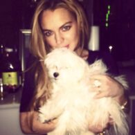 Lindsay Lohan's pet Gucci