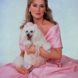 Meryl Streep Pets