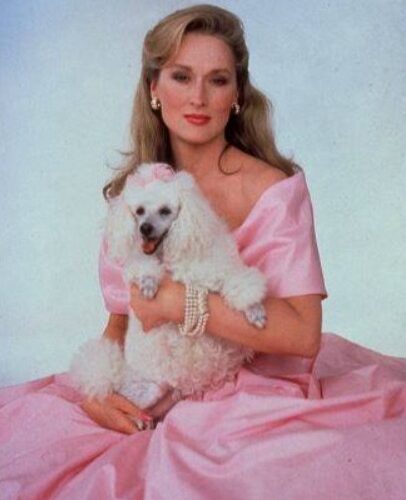 Meryl Streep Pets