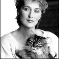 Meryl Streep's pet Cats (Meryl Streep)