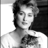 Meryl Streep's pet Cats