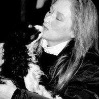 Meryl Streep's pet Cocker Spaniel (Meryl Streep)