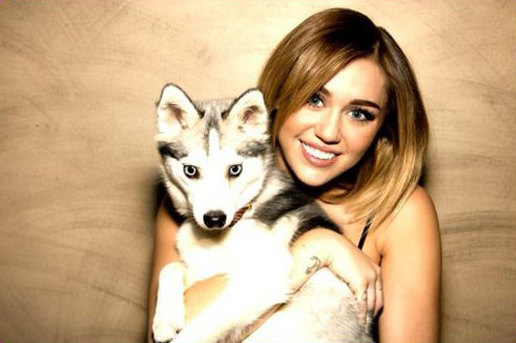 Miley Cyrus Shoutout for Her Passed Dog Floyd for His 5th Birthday