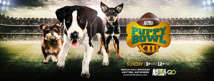 Puppy Bowl XIII