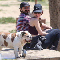 Shia LaBeouf's pet Brando