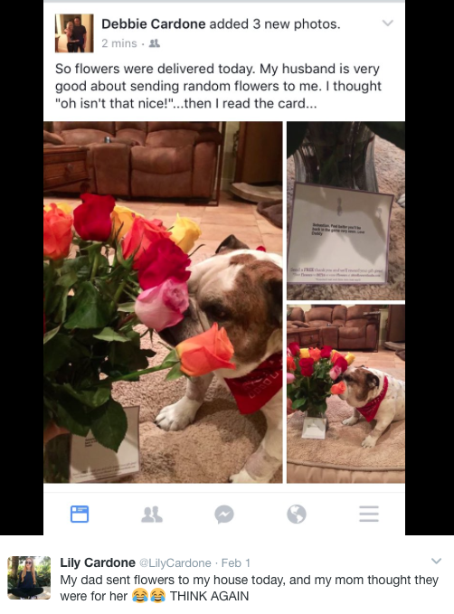 Valentines Day dog flowers Instagram Post