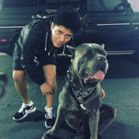 Bruno Mars' pet Geronimo