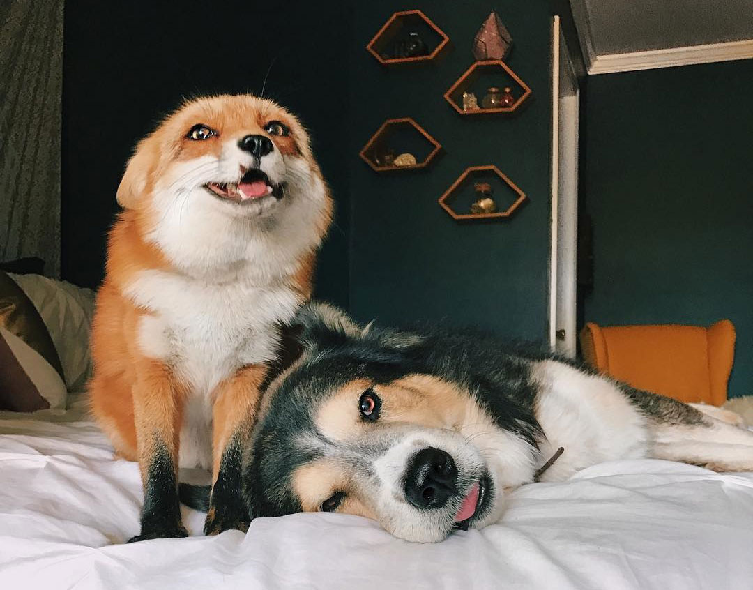 Juniper Fox and her boyfriend Moose