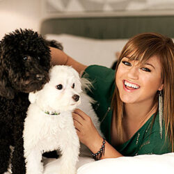 Kelly Clarkson Pets