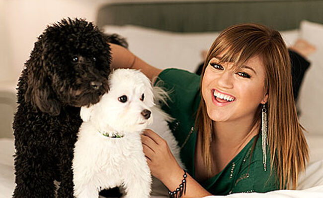 Kelly Clarkson Pets