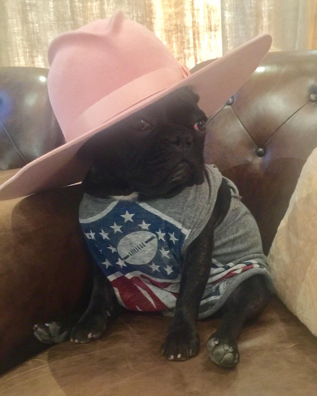 Lady Gaga - Miss Asia Kinney ready for Super Bowl 51