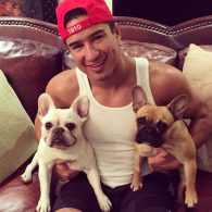 Mario Lopez - french bulldogs Instagram