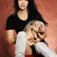 Megan Fox's pet Piggie Smalls
