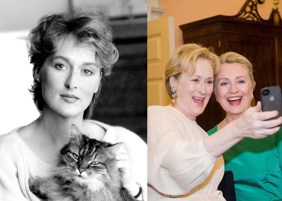 Meryl Street - Cat - Hilary Clinton