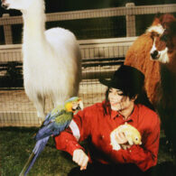 Michael Jackson with animals at his zoo