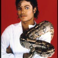 Michael Jackson's pet Snakes and Reptiles