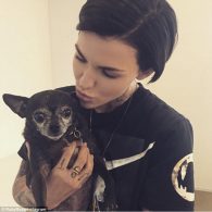 Ruby Rose - Chance - chihuahua instagram