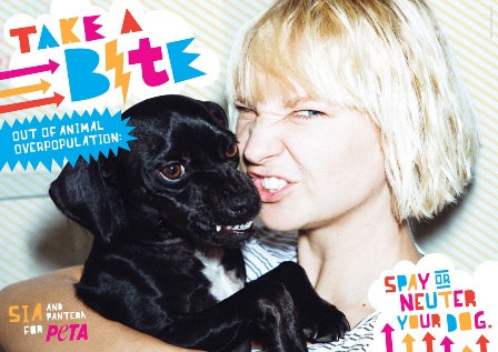 Sia (Singer) Pets