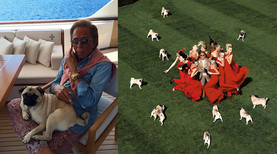 Valentino and his Pugs