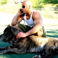 Vin Diesel's pet Roman