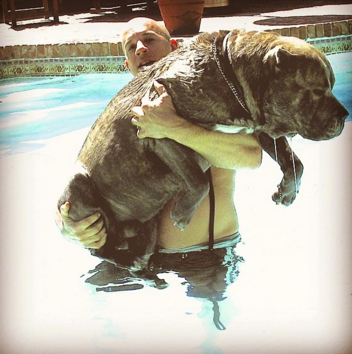 Image result for Vin Diesel – Dog