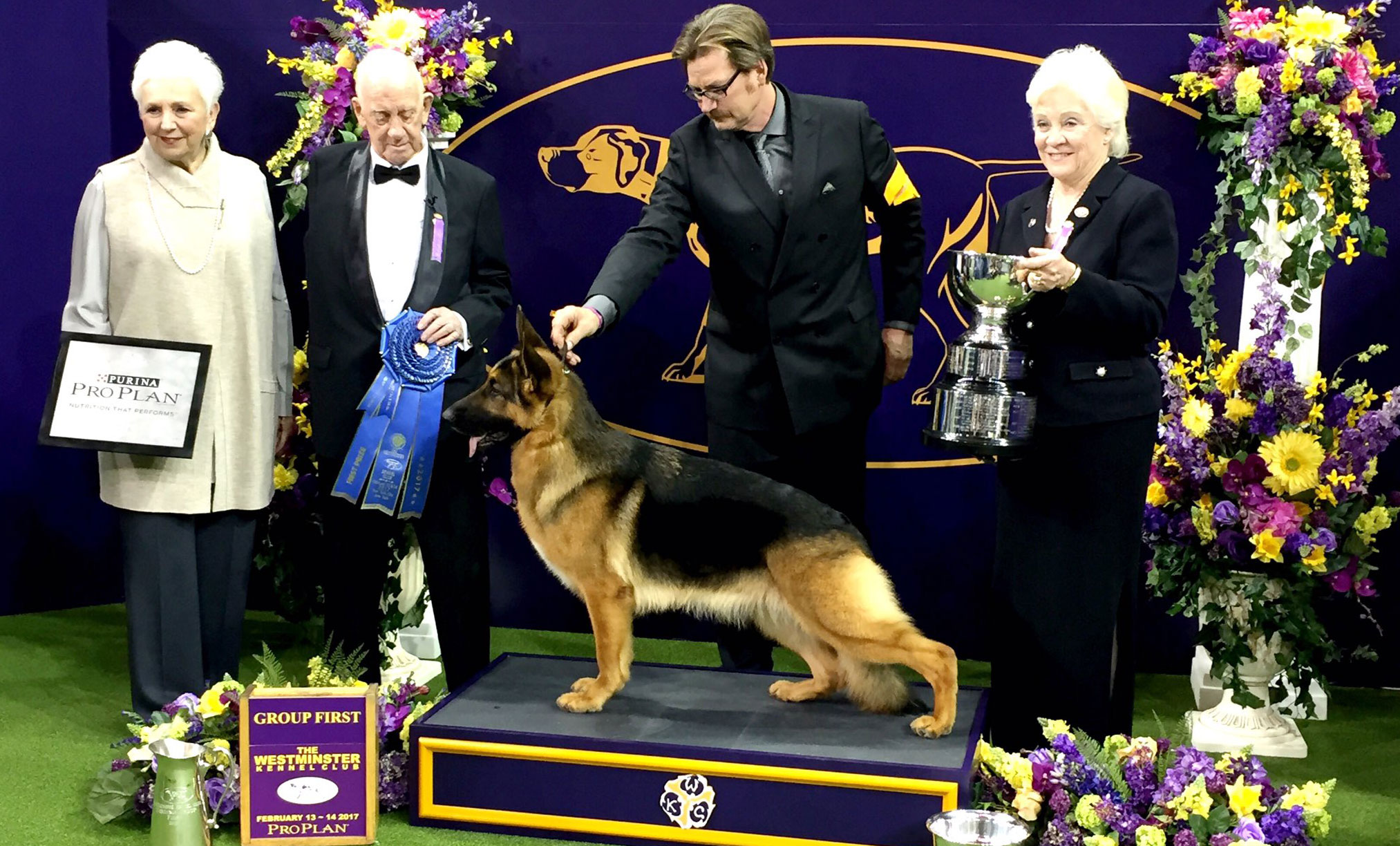 Westminster Dog Show 2017- herding winner - german shepherd