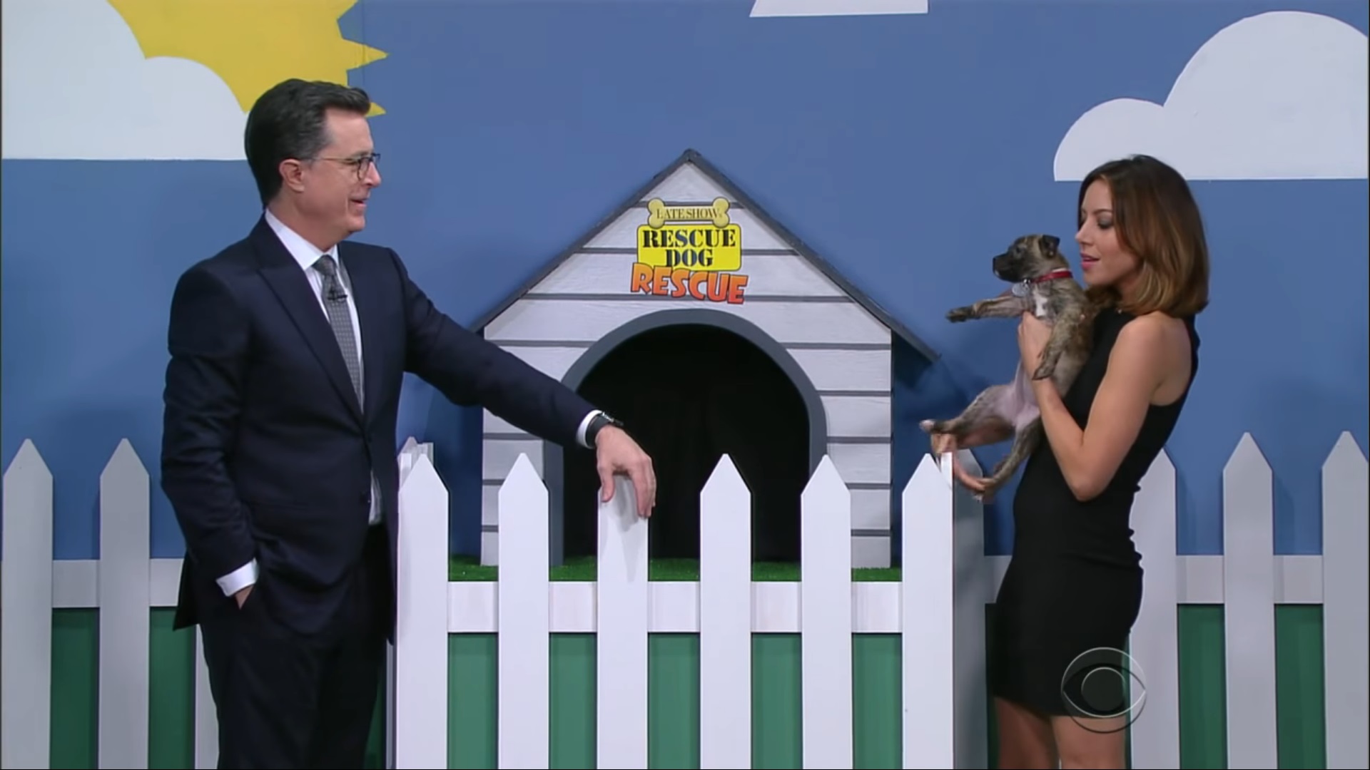 Stephen Colbert and Aubrey Plaza Puppy Adoption