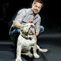 Brad Pitt's pet Jacques the Bulldog